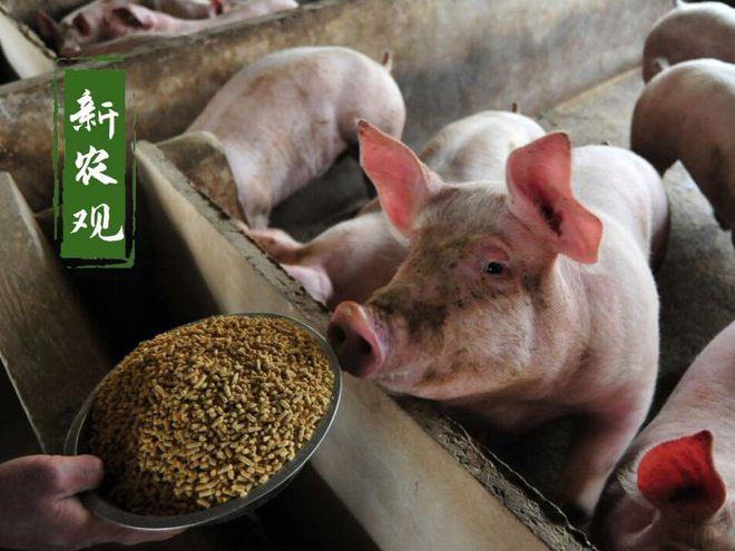 仔猪补硒过敏(仔猪补硒过敏)-硒宝网