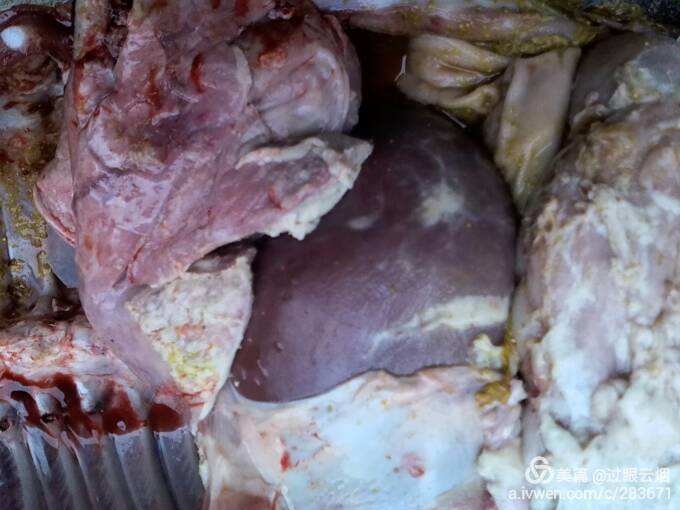 仔猪补硒过敏(仔猪补硒用什么药)-硒宝网