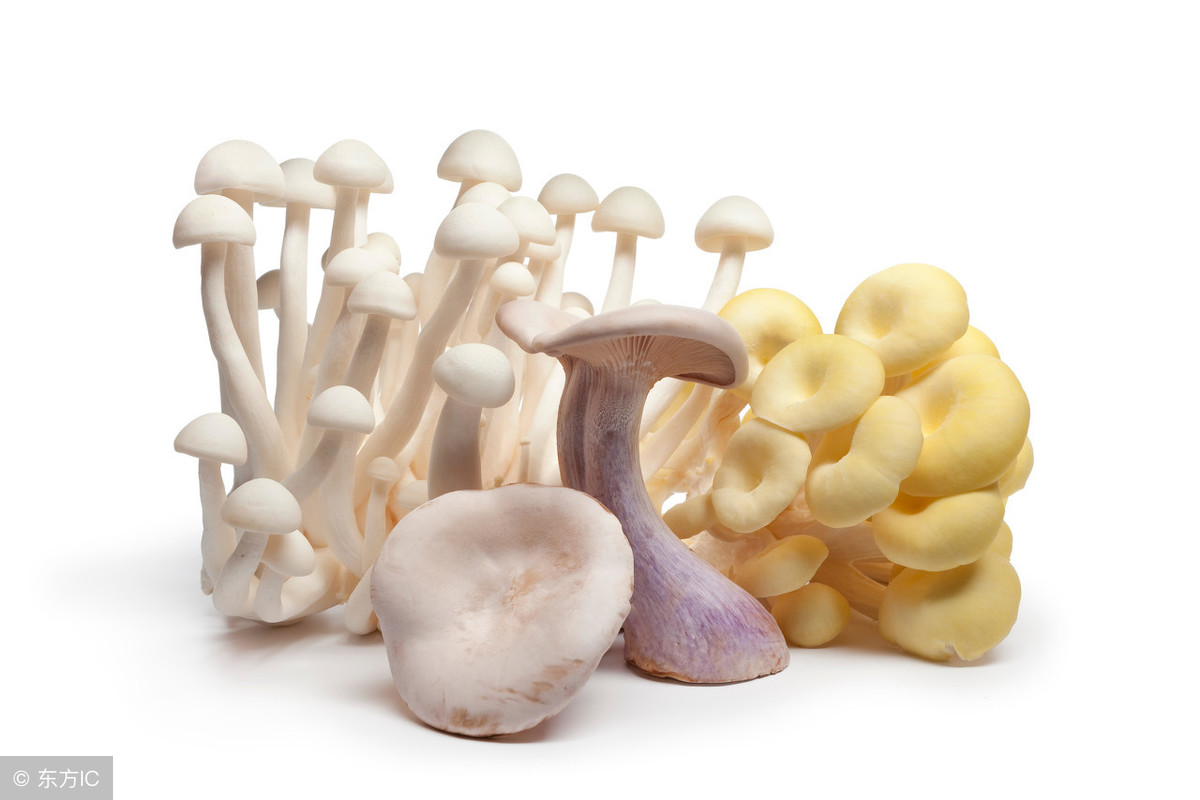 需要刻意补硒(需要刻意补硒)-硒宝网