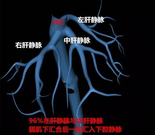 瘢痕疙瘩补硒（疙瘩补瘢痕硒有效吗）-硒宝网