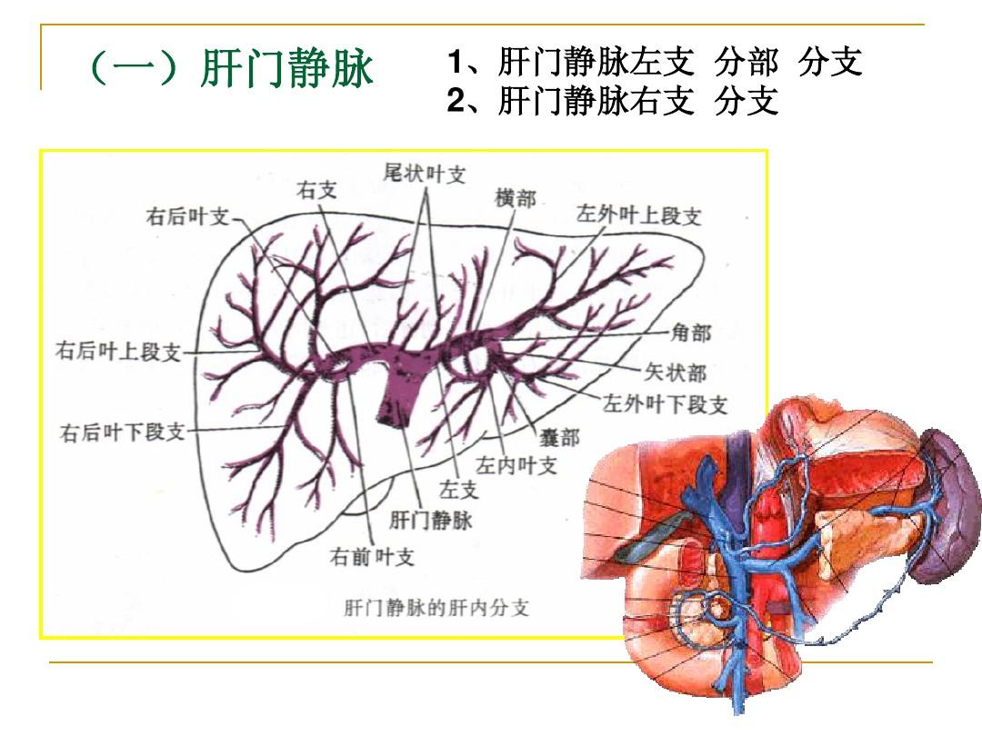 瘢痕疙瘩补硒（疙瘩补瘢痕硒有效吗）-硒宝网