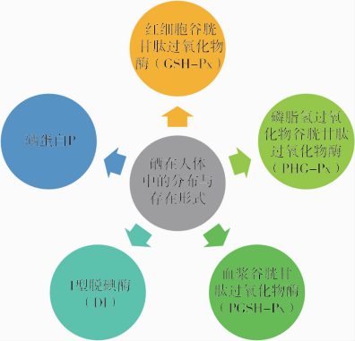 德国补硒药品（补硒药品的价格查询）-硒宝网