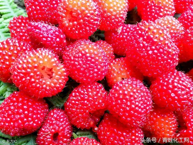 咋样可以补硒(补硒可以抗癌吗)-硒宝网