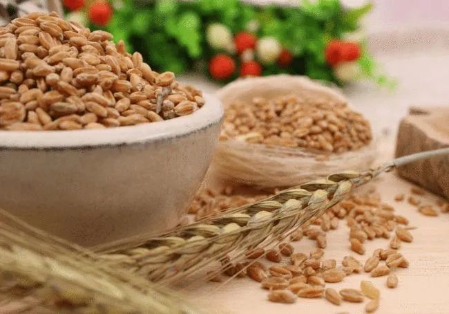 肺结节 补硒(肺结节吃硒有用吗)-硒宝网