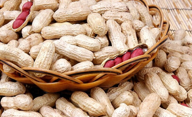 硒孕妇怎么补(孕妇补硒的作用)-硒宝网