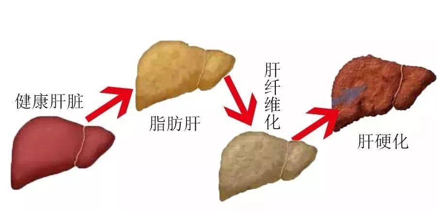 补硒引起过敏（补硒会过敏吗）-硒宝网