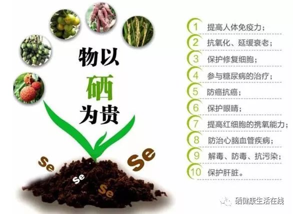 补硒最新研究（硒补新标准）-硒宝网