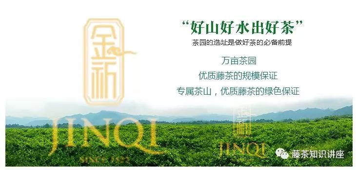 补硒皮肤奇痒(补硒皮肤奇痒)-硒宝网