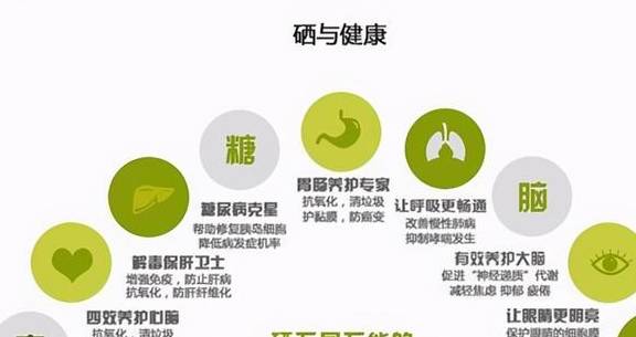 补硒最大反应（补硒调整反应）-硒宝网