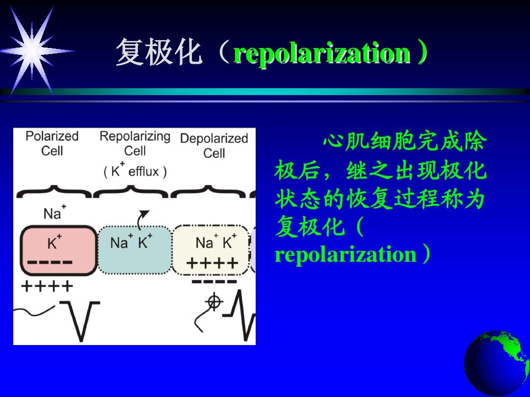 最新补硒机制（最新补硒机制）-硒宝网