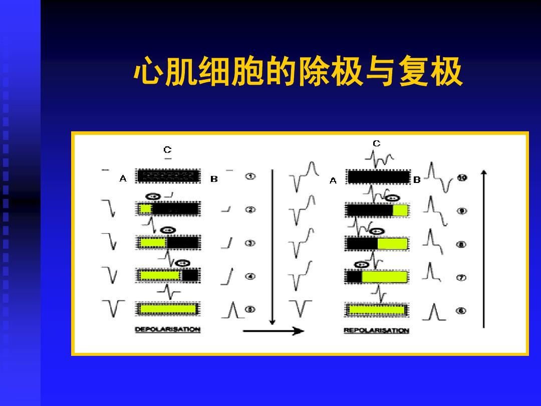 最新补硒机制（最新补硒机制）-硒宝网