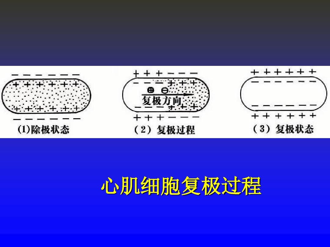 最新补硒机制（最新补硒机制）-硒宝网