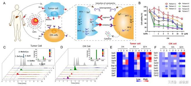 补硒肺癌几率（补硒肺癌几率）-硒宝网