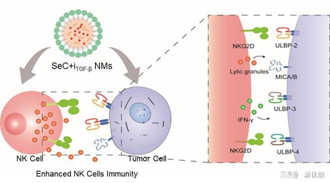 补硒肺癌几率（补硒肺癌几率）-硒宝网