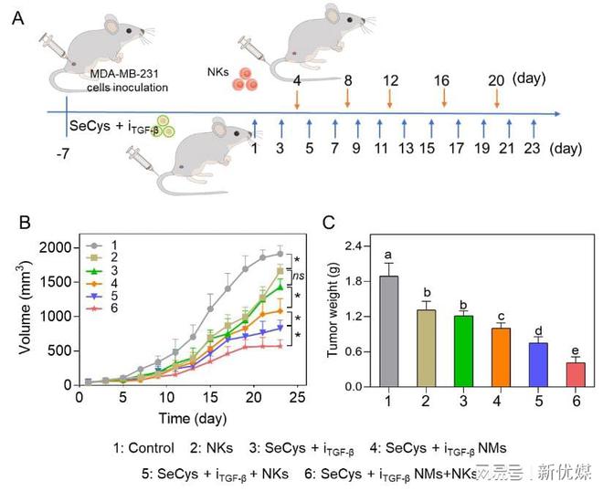 补硒肺癌几率（补硒肺癌几率）-硒宝网