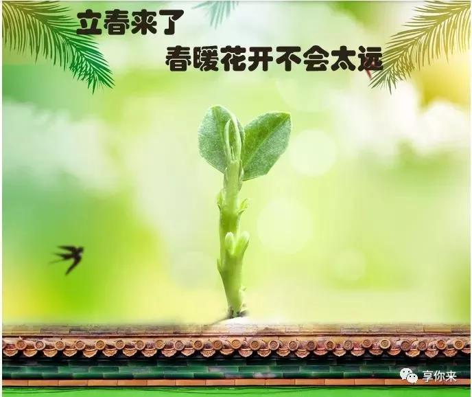补硒治疗痛风（痛风的患者补硒效果明显吗）-硒宝网