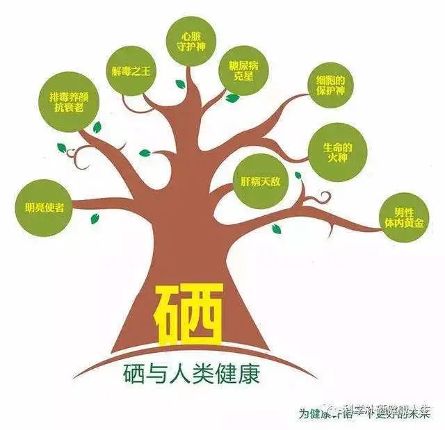 最新补硒机制(最新补硒制剂是有机硒)-硒宝网