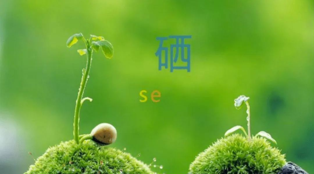 补硒对低血压(血压低的人可以吃硒吗)-硒宝网