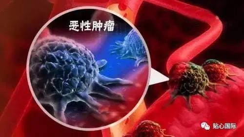 为什么不补硒(补硒对hpv有效果吗)-硒宝网