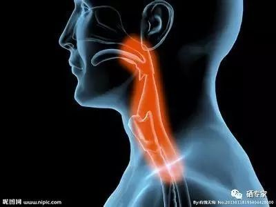 哮喘能补硒吗（硒对哮喘病的作用）-硒宝网