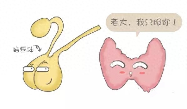 精神疾病补硒(补硒对神经衰弱有帮助吗)-硒宝网