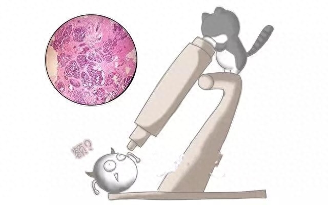 精神疾病补硒(补硒对神经衰弱有帮助吗)-硒宝网