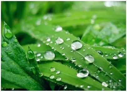 补硒应听谁的(补硒应听谁的)-硒宝网