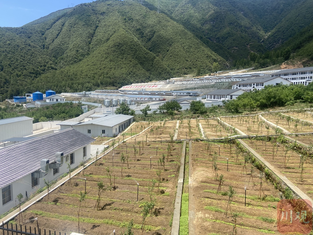 硒锌补剂推荐（硒锌补剂推荐）-硒宝网