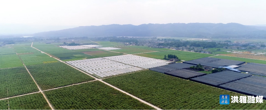 硒锌补剂推荐（硒锌补剂推荐）-硒宝网