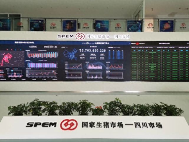 猪需要补硒吗（猪补硒用什么药）-硒宝网