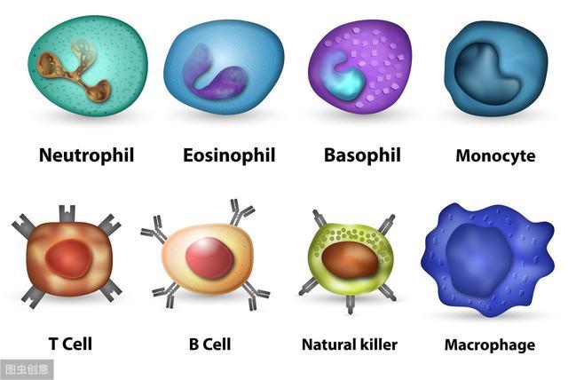 补硒可以治癌(癌症能补硒)-硒宝网