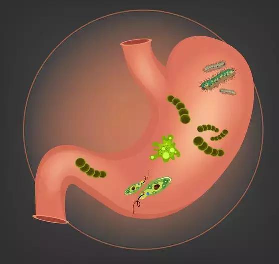 补硒会口臭吗(吃硒容易得口腔溃疡吗)-硒宝网