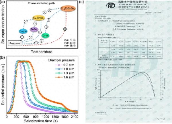 硒锌补剂推荐(补锌硒的药品)-硒宝网
