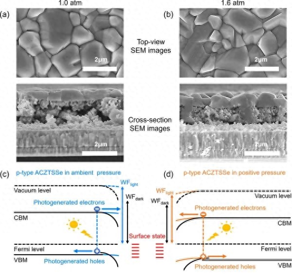 硒锌补剂推荐(补锌硒的药品)-硒宝网