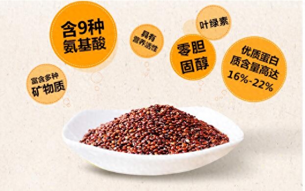 吃啥补硒最好(补充硒后身体会有哪些反应)-硒宝网