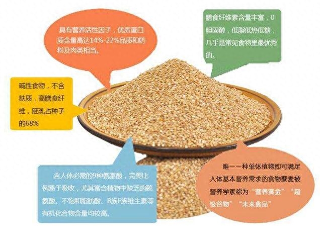 吃啥补硒最好(补充硒后身体会有哪些反应)-硒宝网