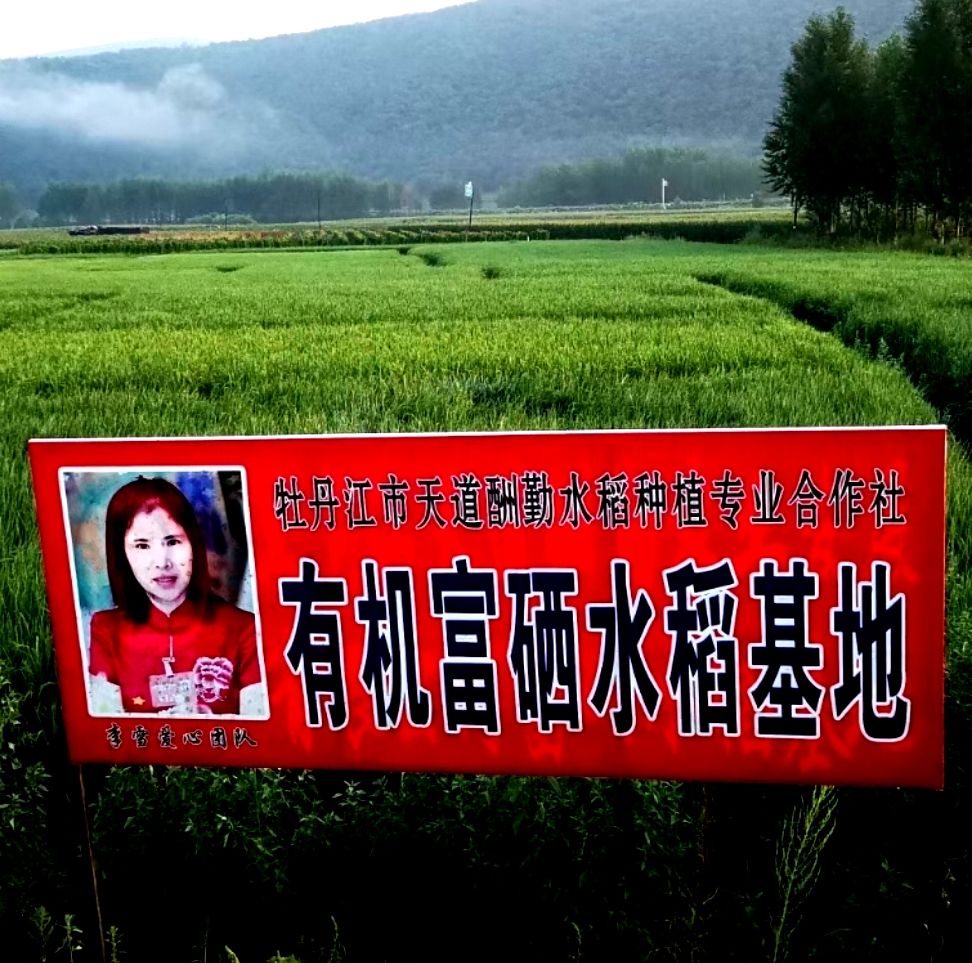 国家政策补硒(国家补硒文件)-硒宝网