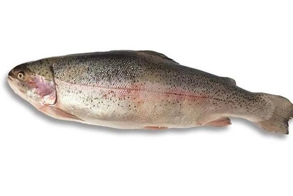 血脂稠能补硒(硒与血脂的关系)-硒宝网