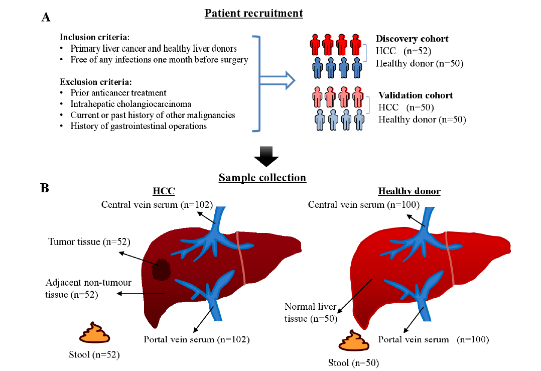 动脉硬化补硒（硬化动脉补硒有用吗）-硒宝网