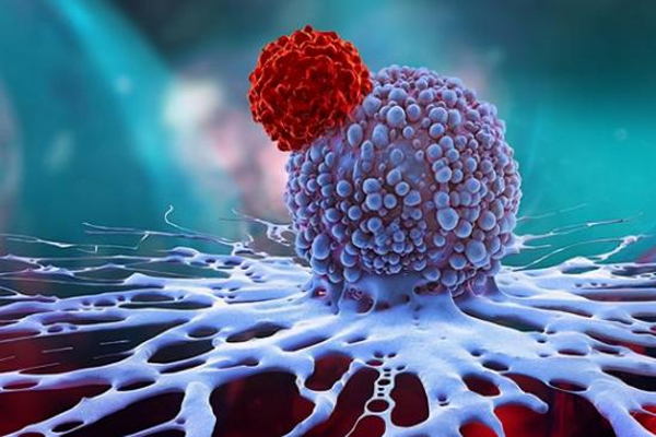 补硒有危害吗(补硒会致癌吗)-硒宝网