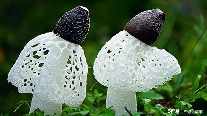 胃癌补硒的药（胃癌可以吃硒片么）-硒宝网