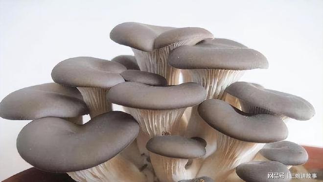 胃癌补硒的药（胃癌可以吃硒片么）-硒宝网