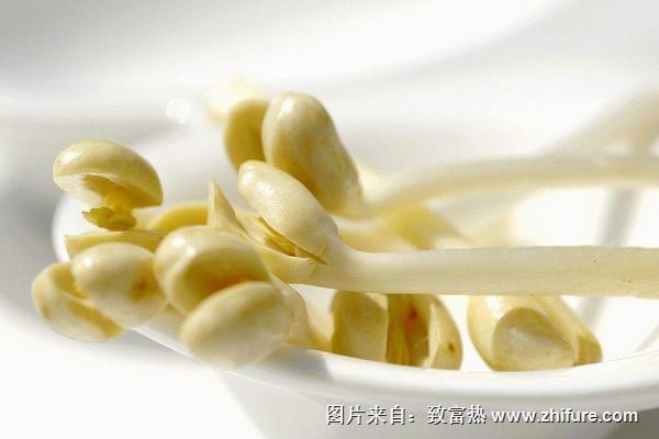 补硒后变白了(补硒后的调整反应正常吗)-硒宝网