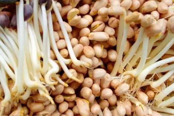 补硒后变白了(补硒后的调整反应正常吗)-硒宝网