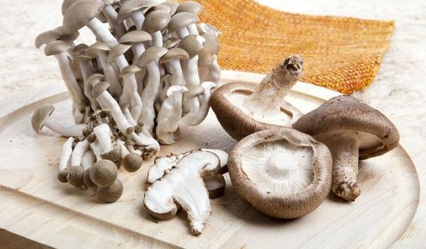 补硒的的产品（补充硒产品）-硒宝网