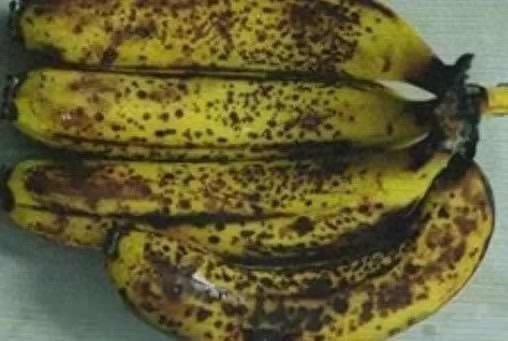 补硒后想睡觉（补硒之后为什么爱睡觉）-硒宝网