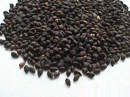 补硒皮肤过敏（硒对过敏体质有什么作用）-硒宝网