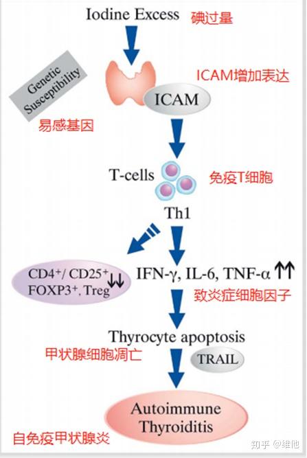 孕妇甲减补硒(孕妇甲减补硒)-硒宝网
