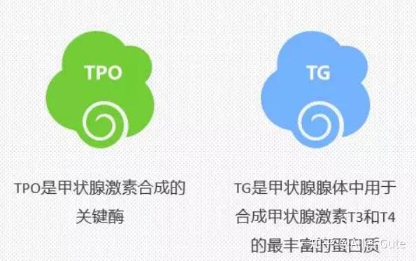 孕妇甲减补硒(孕妇甲减补硒)-硒宝网