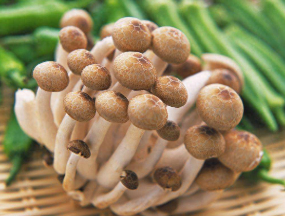 补硒后的好处(补了硒这些反应是正常的)-硒宝网